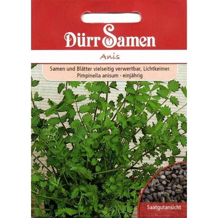 DÜRR-SAMEN Anis | Anissamen 
