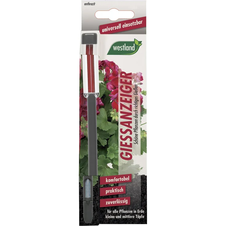 Seramis Westland Gießanzeiger für alle Pflanzen in Blumenerde, Kein Batteriebetrieb, Kunststoff, Höhe: 16 cm, Gießanzeiger, Anthrazit Bewässerungszubehör
