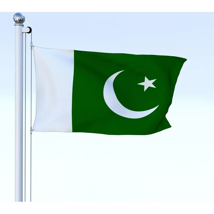 Shatchi Pakistanische Nationalflagge 
