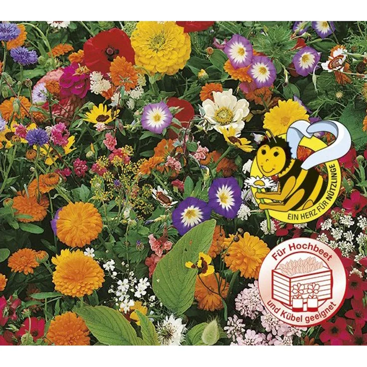 Samenshop 24 Sommerblumenmischung einjährig niedrige Sorten 100g