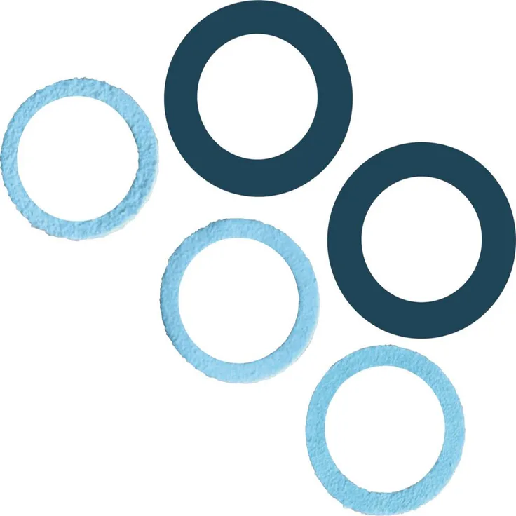 FORMAT 5er Pack Dichtungssatz zuMörtelspritze 500-40 KU