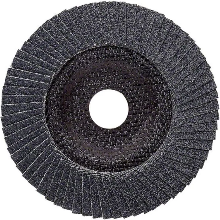 Bosch Professional Fächerschleifscheibe (für Winkelschleifer verschiedene Materialien, bombierte Ausführung, Ø 125 mm, Körnung 60)