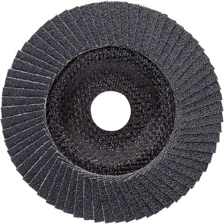 Bosch Professional Fächerschleifscheibe (für Winkelschleifer verschiedene Materialien, bombierte Ausführung, Ø 125 mm, Körnung 60)