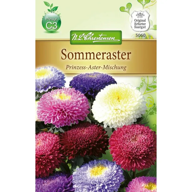 N.L. CHRESTENSEN Sommeraster Prinzess - Aster | Asternsamen 