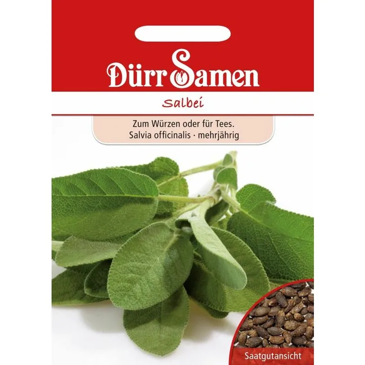DÜRR-SAMEN Salbei Salbeisamen 