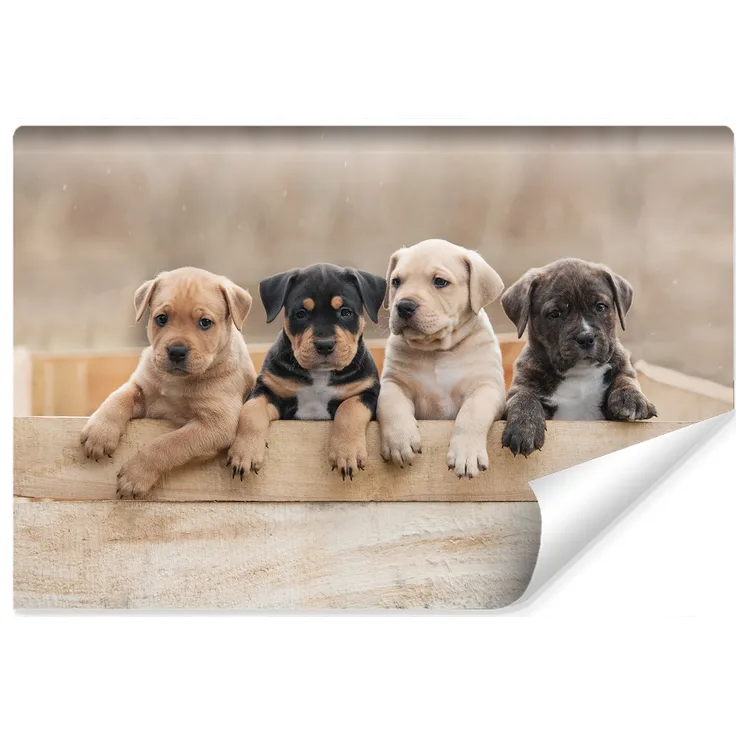 Muralo Vlies Fototapete 152,5x104 Schlafzimmer Welpen HUNDE 3D Moderne Tapete 
