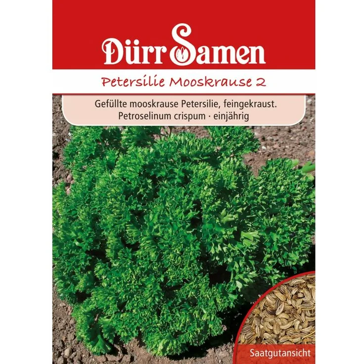 DÜRR-SAMEN Dürr-samen - Petersilie Mooskrause 2 Vorteilspackung 50 g Petersiliensamen 