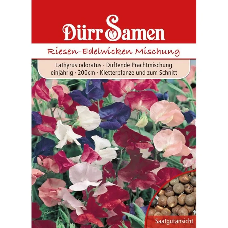 DÜRR-SAMEN Dürr-samen - Riesen Edelwicke Mischung | Edelwickensamen 