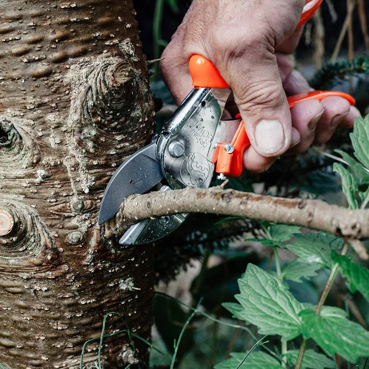 Original Löwe 1 Profi Amboss-Gartenschere 25 mm 1.104 mit rostfreier Stahlklinge und Antihaftbeschichtung - robuste und scharfe Schere aus rostfreiem Stahl eignet sich ideal für Holzarten wie Buche Esche mittelgroß – Bild 4