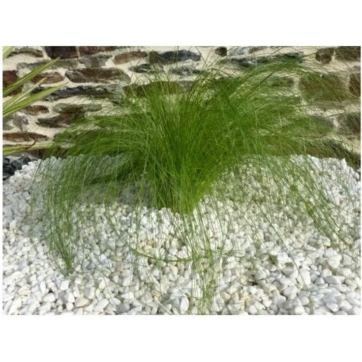 Pure White Pebble Kaliber 6-12 mm Beutel 20 kg