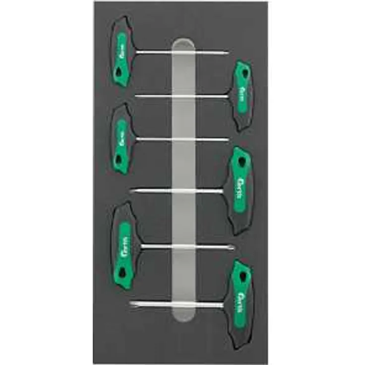 Fortis Werkzeugmodul 1-3 T-Griff Torx