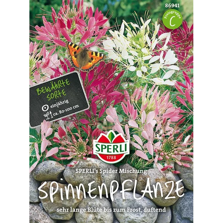 Sperli Spinnenpflanze SPERLING`s Spider Mischung