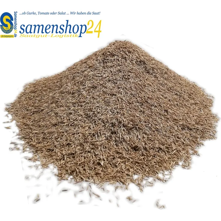 Samenshop24 RSM-Rasensamen 2.3 Gebrauchsrasen Spielrasen 1kg für 40qm