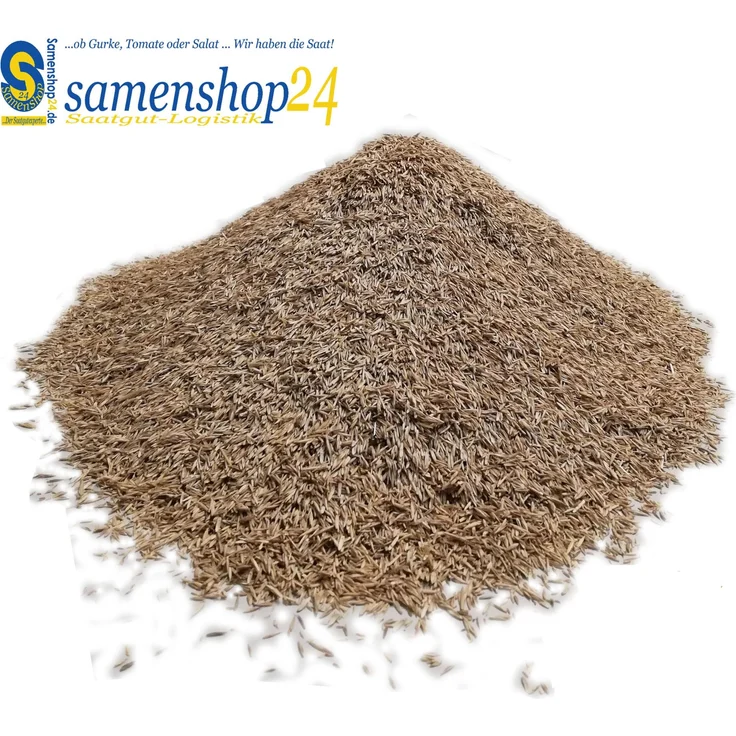 Samenshop24 RSM-Rasensamen 2.3 Gebrauchsrasen Spielrasen 1kg für 40qm – Bild 1