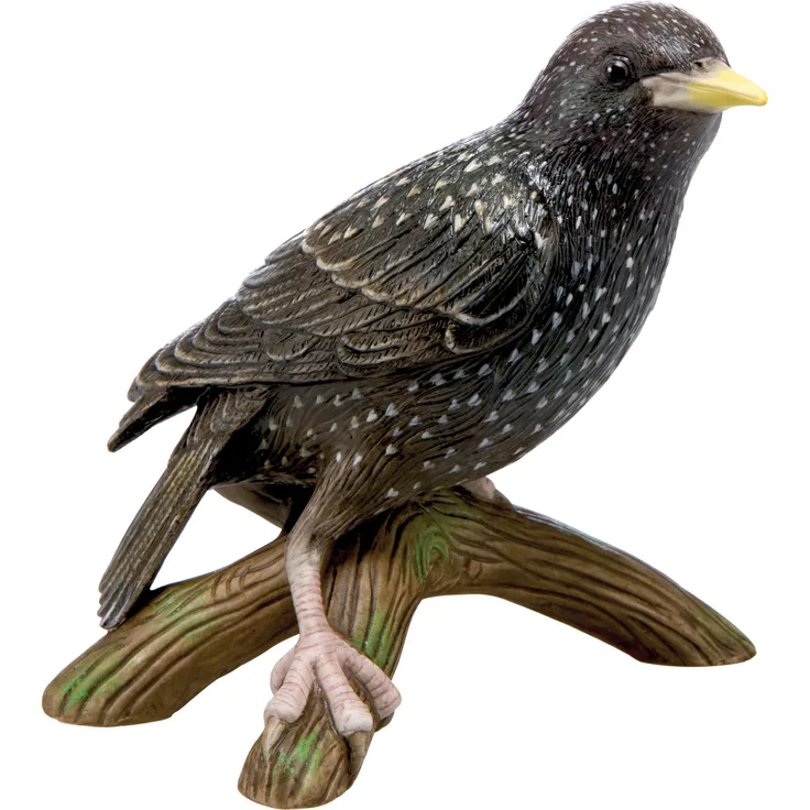 Göbel Vogel des Jahres 2018: Star, Figur, Sammlerfigur, Porzellan, H 12 cm, 38473181