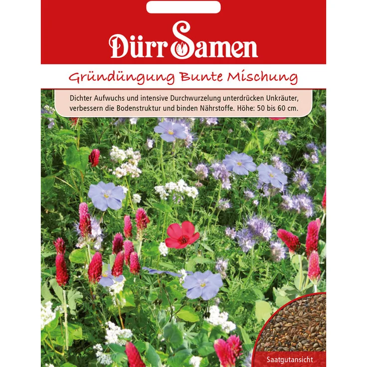DÜRR-SAMEN Dürr-samen - Gründüngung Bunte Mischung 500g Blumensamen
