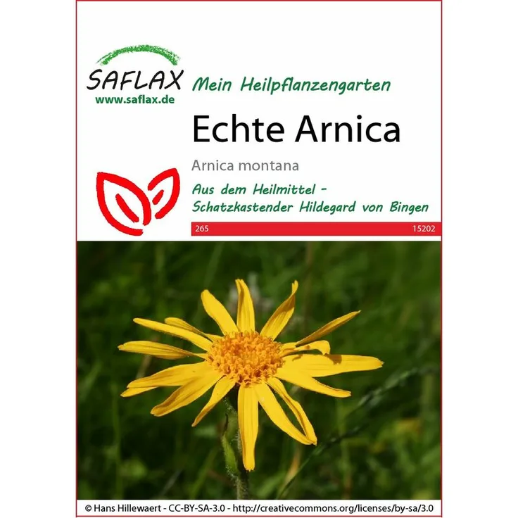 SAFLAX Echte Arnica | Heilpflanzensamen von Saflax