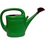 Prosper Plast iksp05-g642 45,5 x 15 x 30,5 cm Spring Gießkanne grün