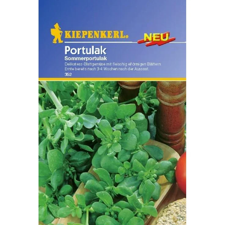 Kiepenkerl Portulak Sommerportulak