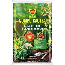 Bild für COMPO Cactea Kakteen- und Sukkulentenerde 5 Liter