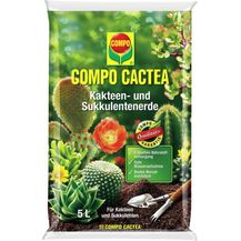 Image for COMPO Cactea Kakteen- und Sukkulentenerde 5 Liter