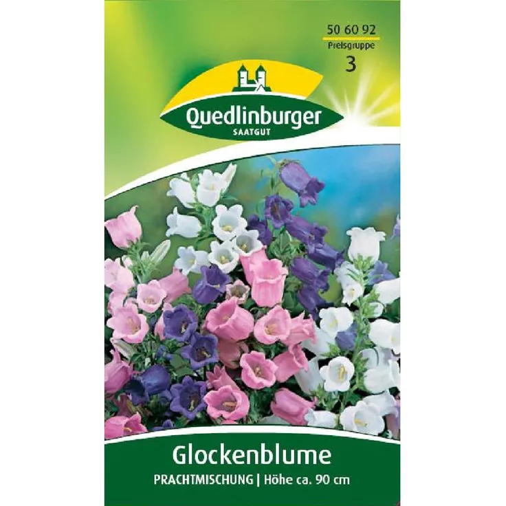 QUEDLINBURGER Glockenblume, Prachtmischung