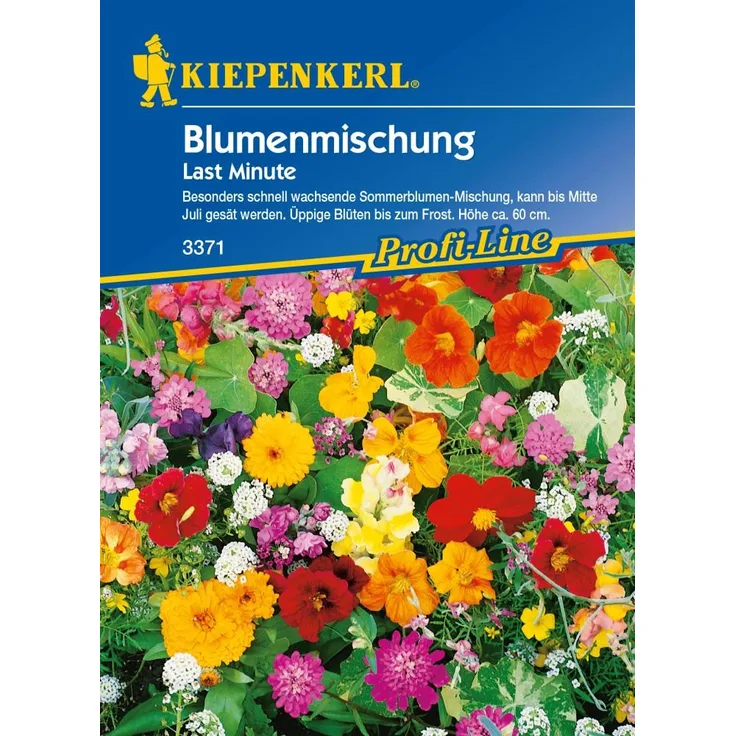 Kiepenkerl Last Minute Blumenmischung Inhalt: 4 m²