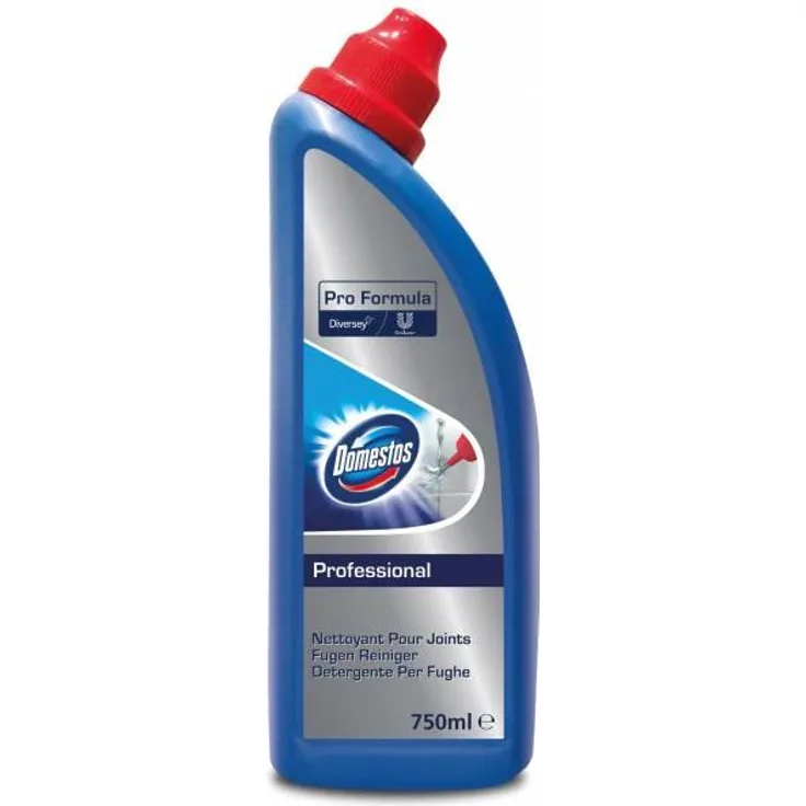 Domestos Professional Fugenreiniger 750 ml