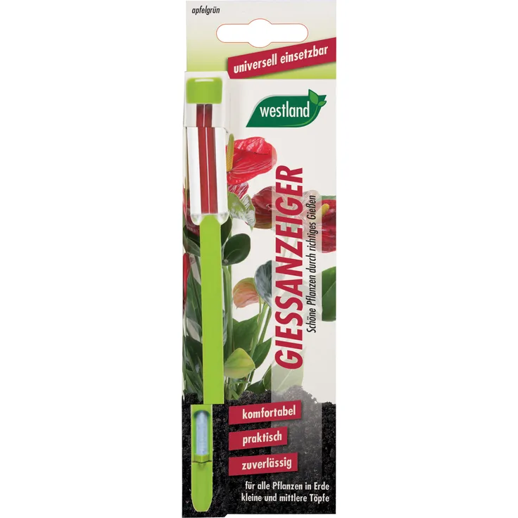WESTLAND Gießanzeiger für Blumenerde, 16 cm apfelgrün
