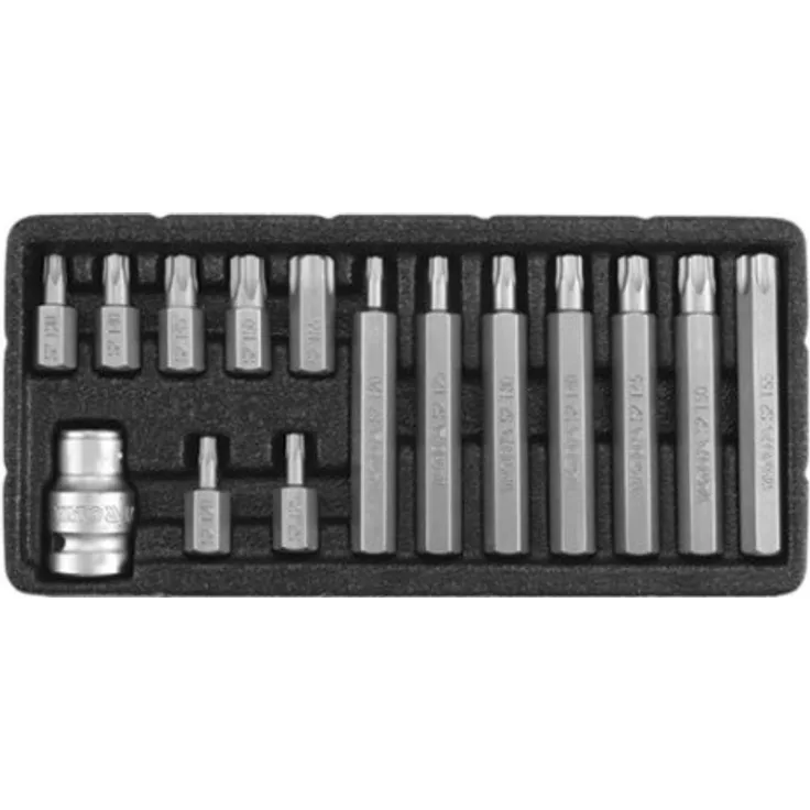 SCREWDRIVER BIT SET TORX S.T20T55 15PCS