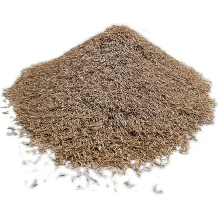 Samenshop24 Deutsches Weidelgras lolium perenne 1kg