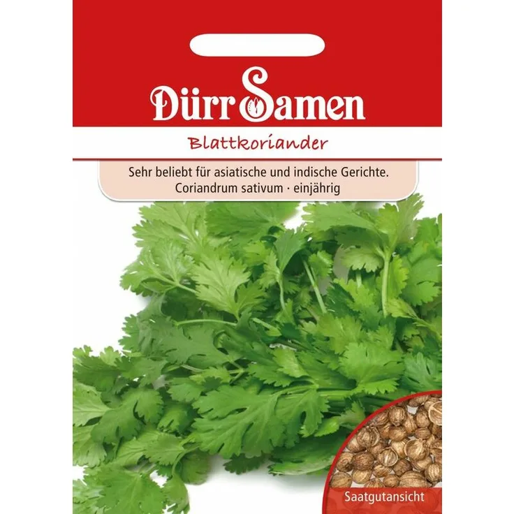 DÜRR-SAMEN Blattkoriander Blattkoriandersamen 