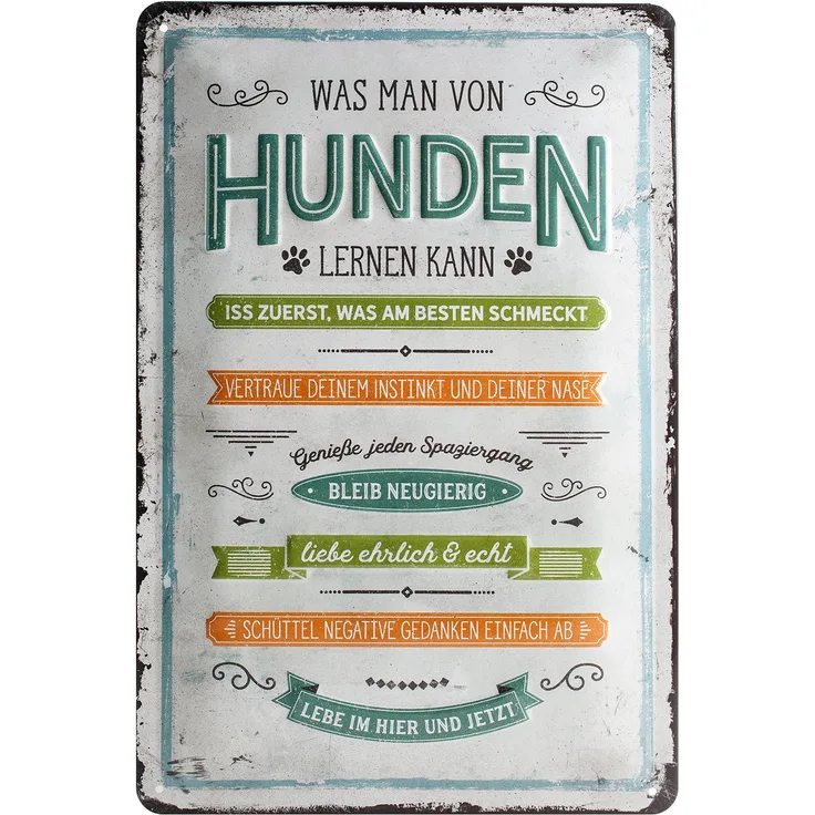 Nostalgic-Art 22274, PfotenSchild-was Man von Hunden Lernen Blechschild 20x30 cm, Metall, Bunt, 20 x 30 x 0.2 cm