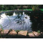 Siena Garden Teichabdecknetz, Abdecknetz, 6x10m, 250535