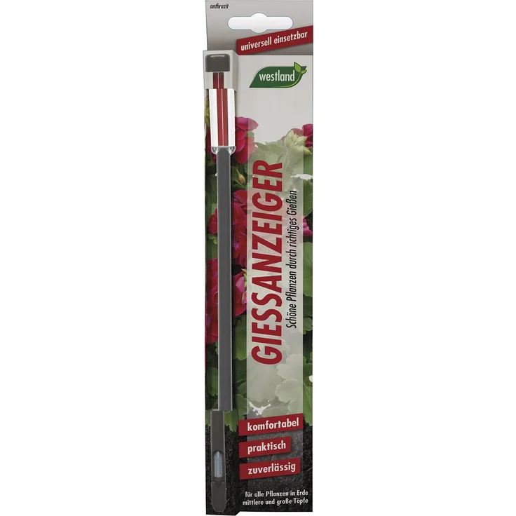 Westland Gießanzeiger für alle Pflanzen in Blumenerde, Kein Batteriebetrieb, Kunststoff, Höhe: 26 cm, Anthrazit, 6 Stück Bewässerungszubehör