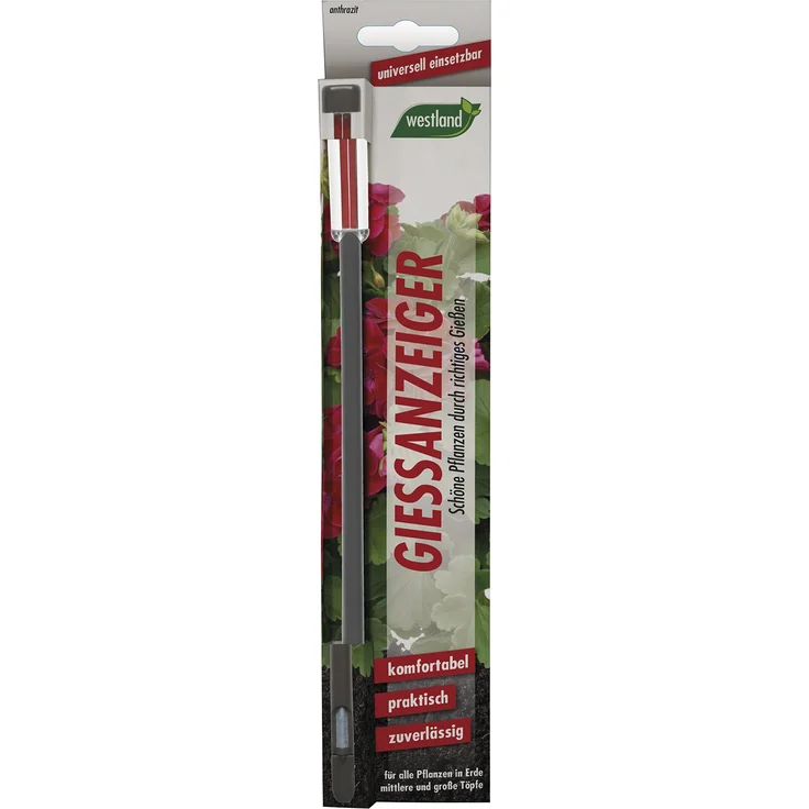 Westland Gießanzeiger für alle Pflanzen in Blumenerde, Kein Batteriebetrieb, Kunststoff, Höhe: 26 cm, Anthrazit, 6 Stück Bewässerungszubehör