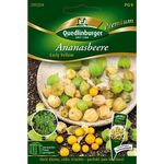 QUEDLINBURGER SAATGUT Quedlinburger Saatgut - Ananasbeere Early Yellow | Beerensamen