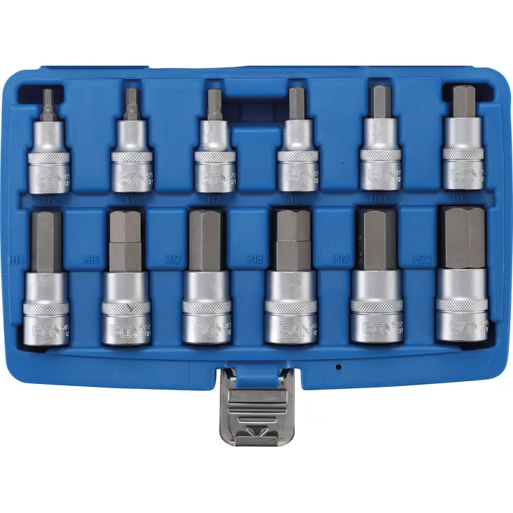 BGS 5052 Bit-Einsatz-Satz 12-tlg. 12,5 mm (1-2'') Innensechskant 5 - 22 mm CV-Stahl