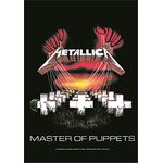 Metallica - Master Flagge