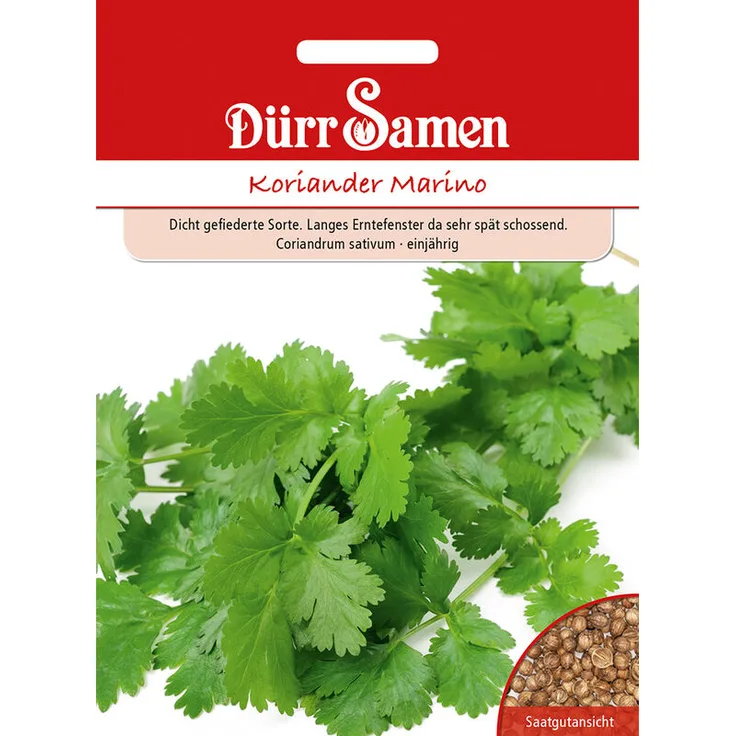 DÜRR-SAMEN Koriander Marino Koriandersamen 