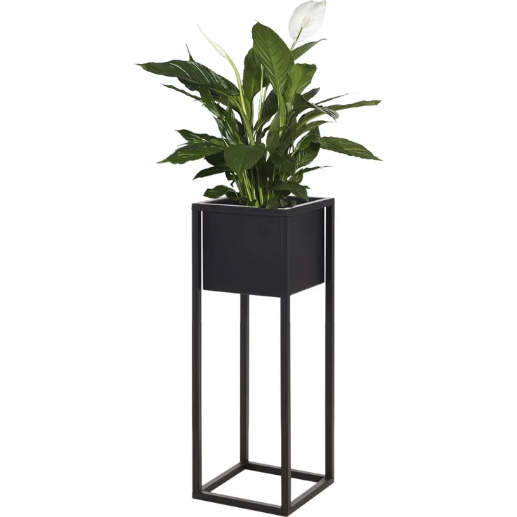 Blumenständer Pflanzkasten 21x21xH60cm Schwarz