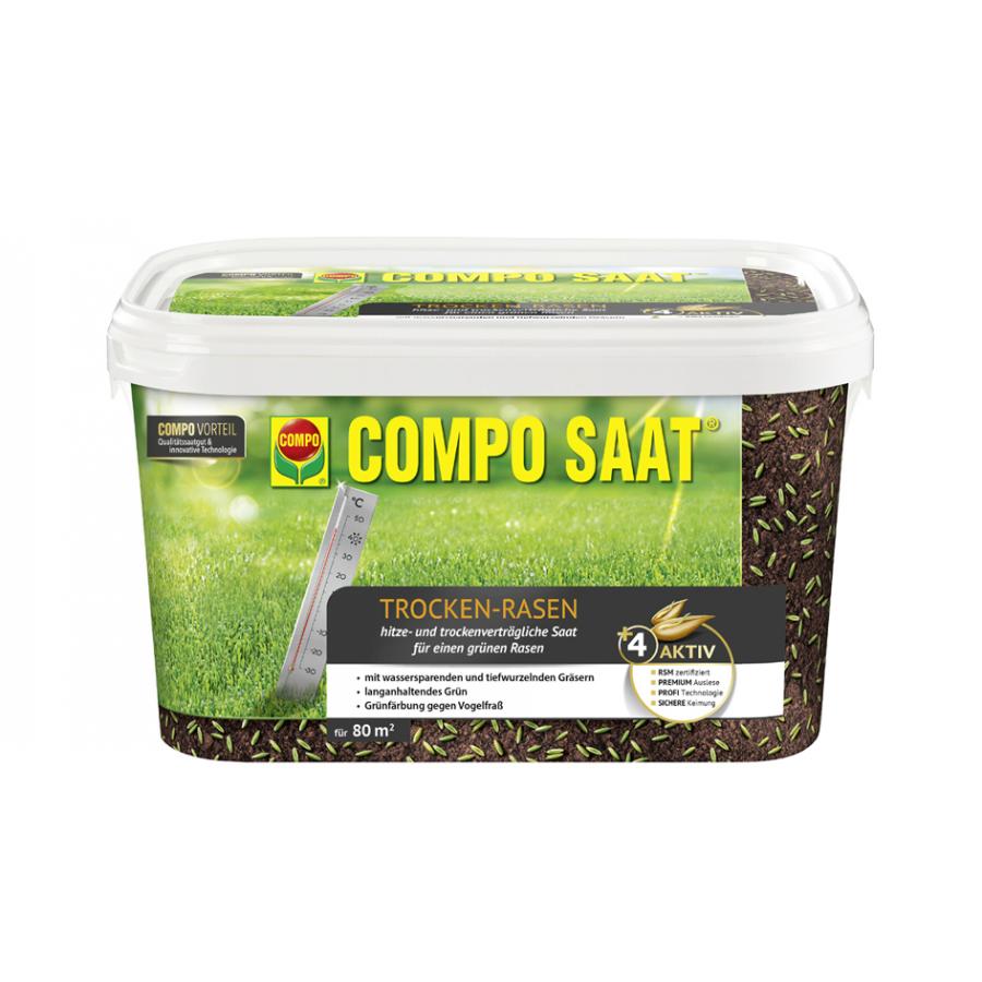 COMPO SAAT Trocken-Rasen, 2 kg für 80 qm