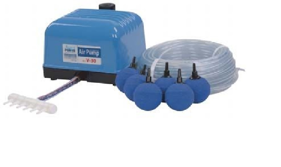 Aqua Forte Belüfterpumpenset V 30 mit 25 m Schlauch- 6 Kugeln 50 mm