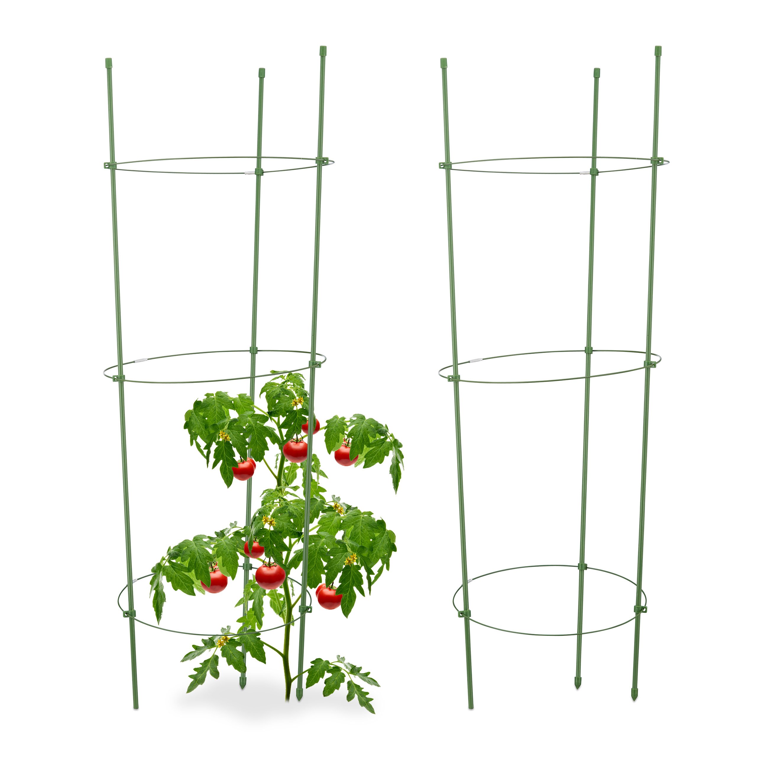 Relaxdays Rankhilfe Tomaten, 2er Set, Höhenverstellbare Ringe, Pflanzstäbe, Balkon, Beet, Kunststoff, 76 cm lang, Grün