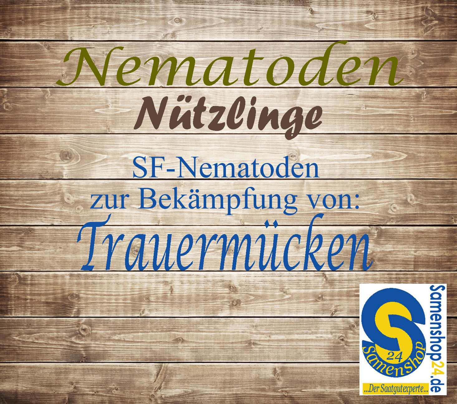 Samenshop24 SF Nematoden zur Bekämpfung von Trauermücken 3 Mio