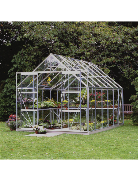 Gewächshaus Magnum 128, BxLxH: 257 x 384 x 258 cm, Aluminium-Glas
