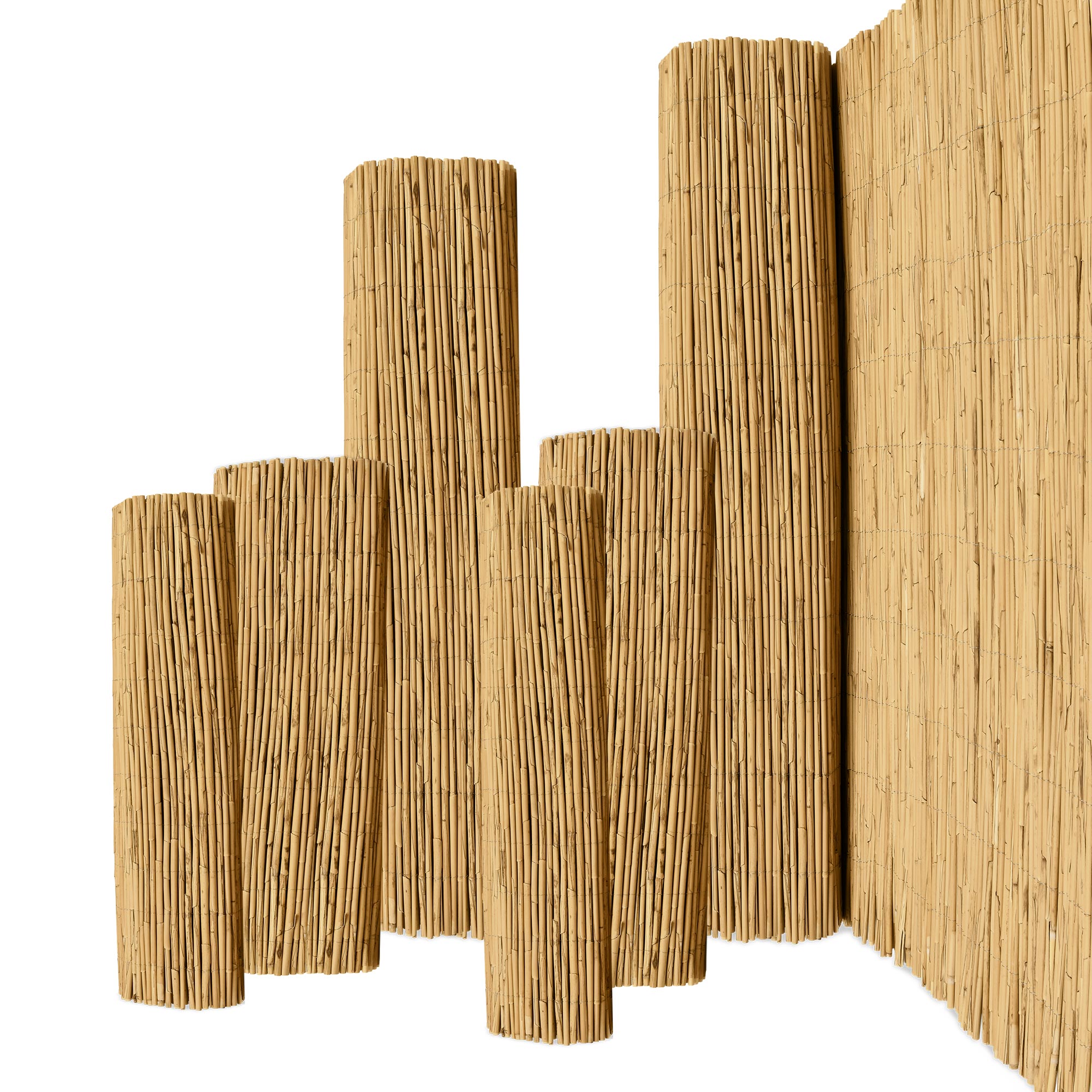 Sol Royal SolVision S36 Sichtschutzmatte Schilf 100cm, 600cm