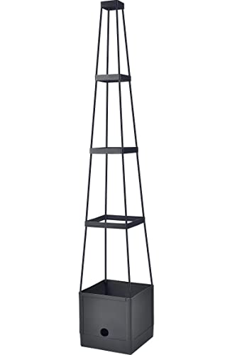 Spetebo Tomaten Rankhilfe im Pflanztopf 150 x 25 cm Anwuchshilfe