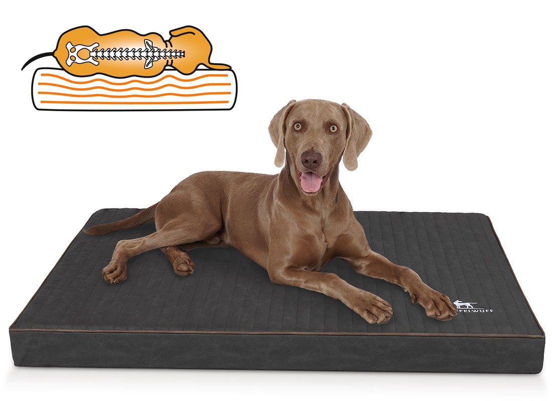 Knuffelwuff Hundematte Palomino, Orthopädisch, 10 cm hoher orthopädischer Kern, verschiedene Farben