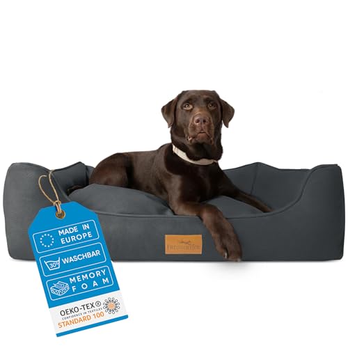 FREUDENTIER Hundebett orthopädisch Kunstleder, ergonomisches Hundesofa mit herausnehmbarem Liegekissen, waschbar, Oeko® TEX zertifiziert, für kleine, mittelgroße & große Hunde (M)